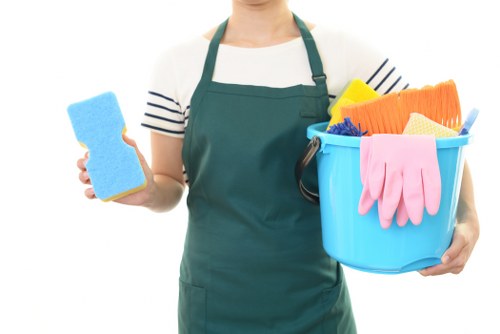 Accessible Carpet Cleaners E8 website overview with inclusive design focus