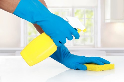 Checklist-style preparation for a regular cleaning appointment in E8