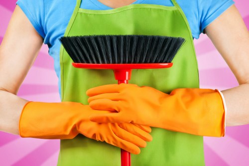 Carpet cleaners E8 restoring a living room carpet with deep cleaning
