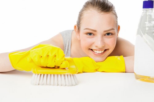 Professional carpet cleaning equipment preparing for a domestic service