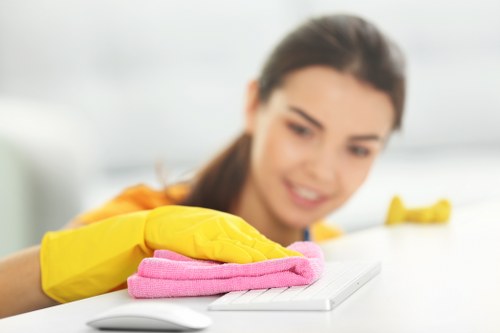 Stain treatment and fibre care for area rugs