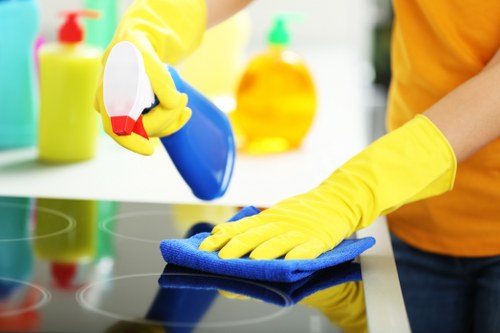 Cleaning and deodorising service for pet stains in E8 commercial and rental spaces